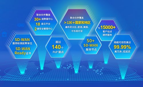 中企通信SD-WAN 一种创新的计算机信息技术咨询服务