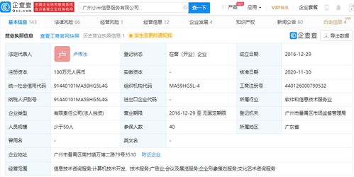 小米高层调整 王川退出广州信息服务公司，卢伟冰接任，强化信息技术咨询业务布局