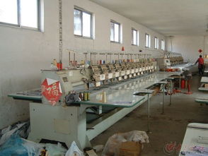 工厂拆迁清仓 绣花机、绿植与信息技术服务一站式处理